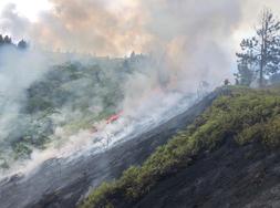 Important feu de brousse à Punaauia 