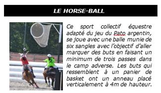 HORSE-BALL